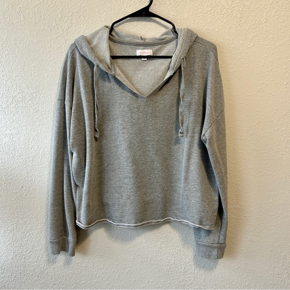Target grey cropped hoodie
